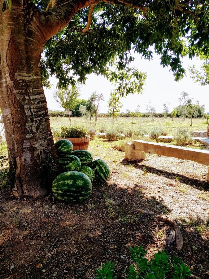 Masseria Cataldo Corigliano d'Otranto Ngoại thất bức ảnh