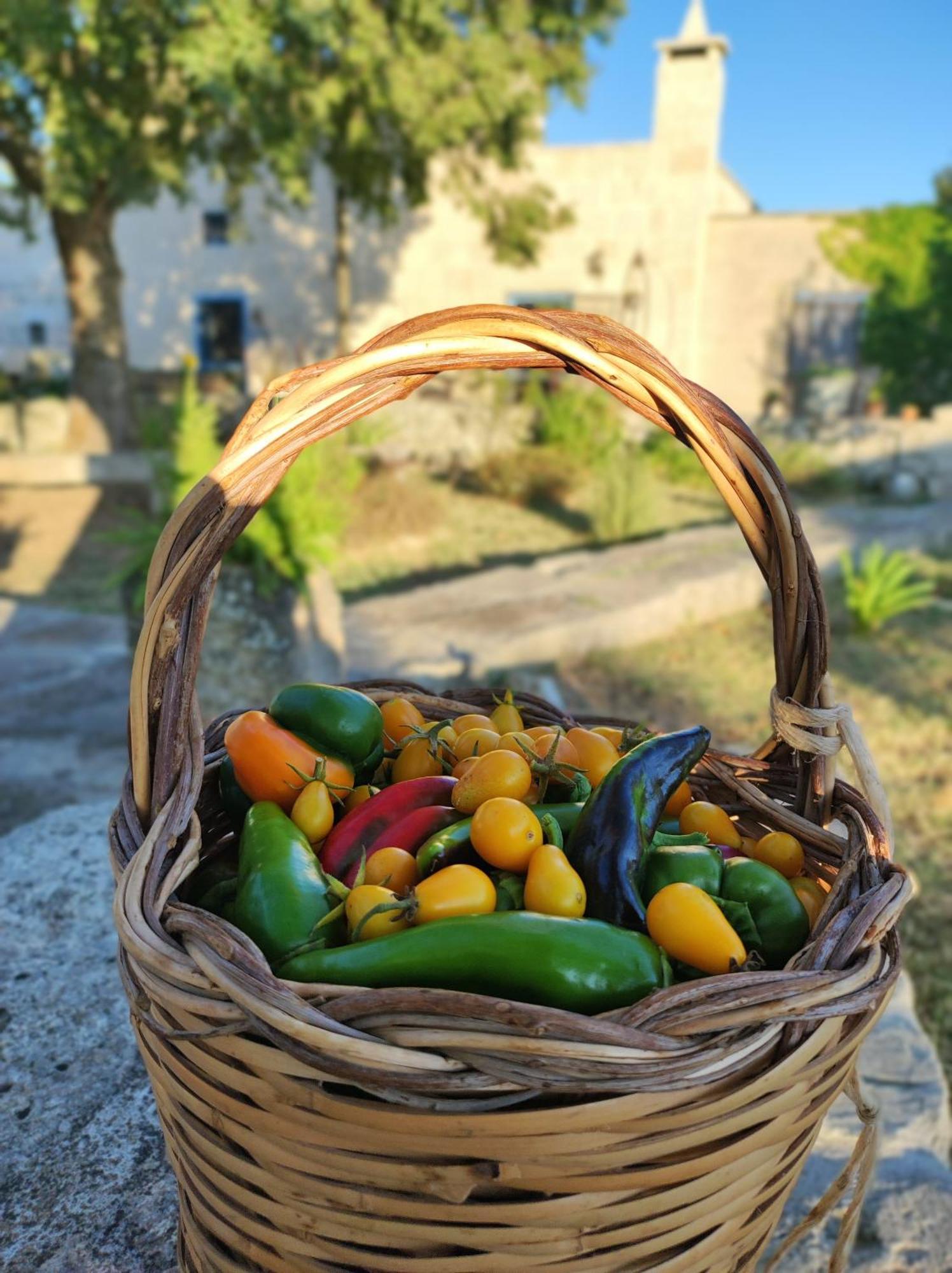 Masseria Cataldo Corigliano d'Otranto Ngoại thất bức ảnh