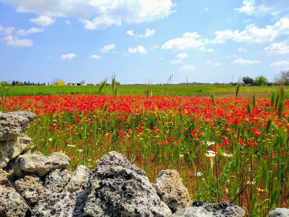 Masseria Cataldo Corigliano d'Otranto Ngoại thất bức ảnh