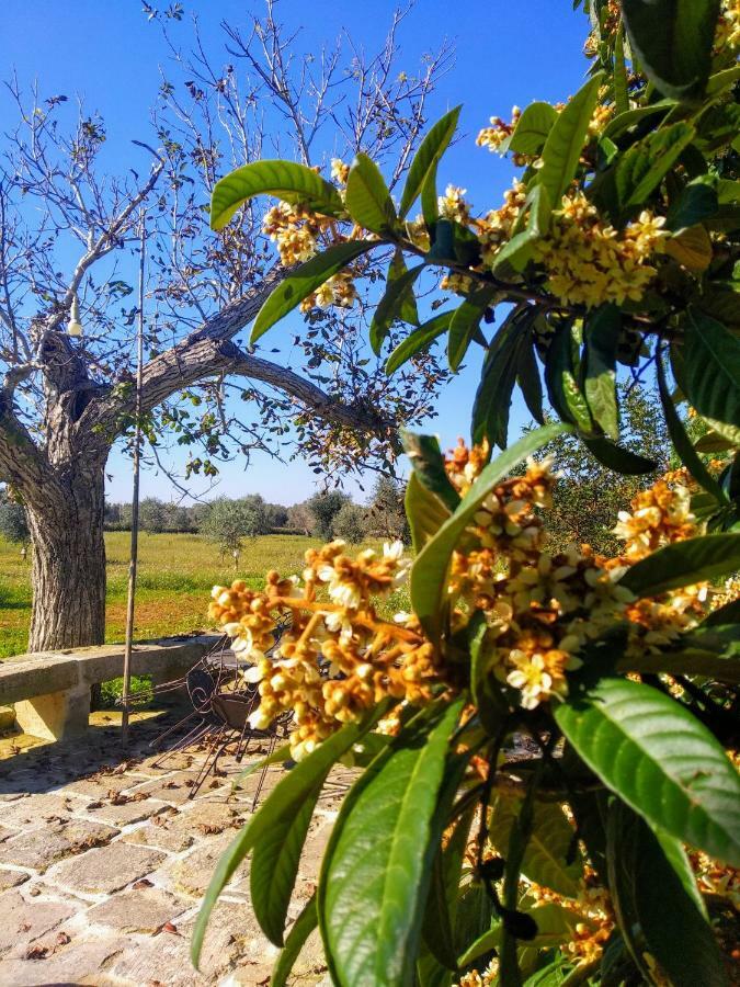 Masseria Cataldo Corigliano d'Otranto Ngoại thất bức ảnh